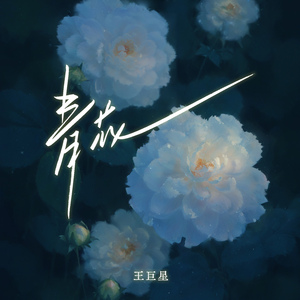 我爱搞52g免费观看完整版
