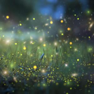 我爱搞52g免费观看完整版
